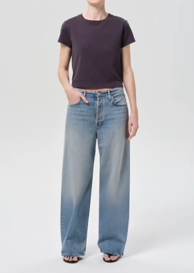 Agolde Low Slung Baggy - Reset